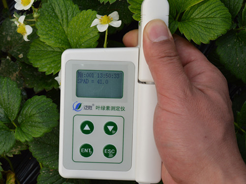 YLS-A叶绿素仪测量原理