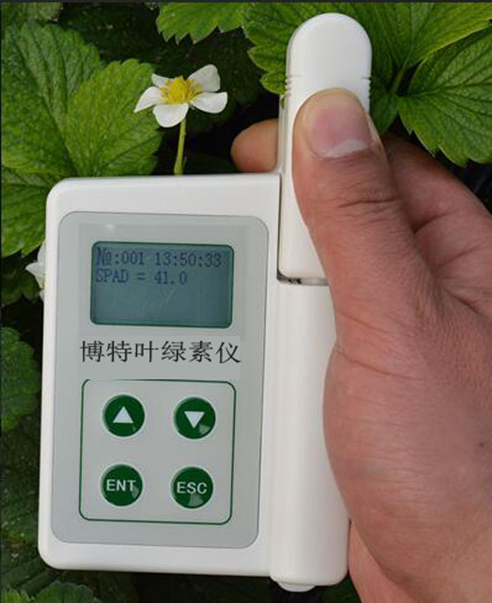 涿州博特BNY-S手持叶绿素测量仪带数据存储