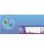 ASL水体声学剖面仪