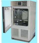 YP-150GSP药品综合稳定性试验箱