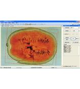 LA-S瓜果剖切面、瓤色图像分析仪系统