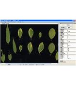 LA-S型植物叶面积分析仪系统（简易版）