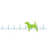 法国EMKA动物无创生理信号遥测系统