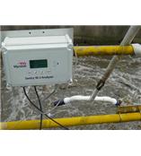 美国InsiteIG在线溶解氧分析仪Online DO Sentry M-2