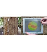 德国Rinntech脉冲式树木断层摄影仪ARBOTOM
