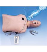生命救护躯干模型，接互动心电图模拟器