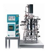 实验室不锈钢生物反应器