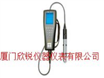 YSI Pro20型美国维赛YSI光学溶解氧测量仪YSI Pro20型