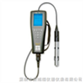 光学溶解氧测量仪YSI ProODO
