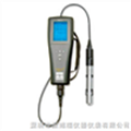 溶解氧测量仪YSI Pro20