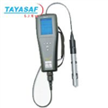 YSI Pro20溶解氧测量仪