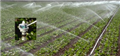 自动灌溉控制系统