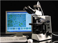 藻类计数仪|藻类鉴定计数仪―迅数Algacount S200型藻类智能鉴定计数仪