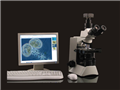 浮游动物计数仪|藻类计数仪|藻类鉴定计数仪―迅数Z100浮游动物计数仪