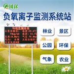 负离子检测仪厂家