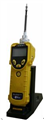 PGM-7320 MiniRAE 3000手持式挥发性有机化合物（VOC）检测仪