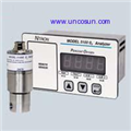 美国NTRON 5100 0-100%氧气分析仪