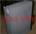 防爆电暖气/北京厂家直销