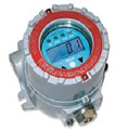 RAEGuard PID 有机气体检测仪【FGM-100X】