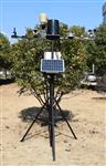 LB-NT固定式无线农业气象监测站