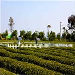 自动气象站设备六要素气象局自动气象站观测系统