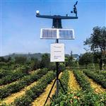 NL-GPRS-I无线农业气象综合监测站 固定式无线农业气象站 农业气象台