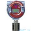 IP-1080 可燃气体报警器/变送器