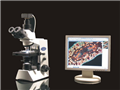 迅数MIC3/MIC2显微图像分析系统