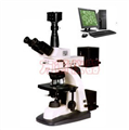 正置金相显微镜MM-158C（明暗场）