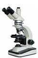 三目偏光显微镜LW200LPT
