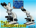 LW200LPT/B高清晰偏光显微镜|高清晰显微镜|偏光显微镜
