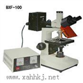 BXF-100型落射荧光显微镜