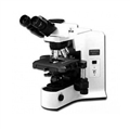 优惠价供应三目生物显微镜BX41