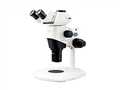 临床级体视显微镜|奥林巴斯体视显微镜|体视荧光显微镜