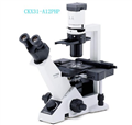 供应奥林巴斯生物倒置显微镜CKX31