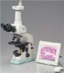 进口尼康双目生物显微镜|奥林巴斯生物显微镜|双目生物显微镜价格使用