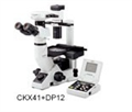 奥林巴斯倒置显微镜CKX41（代理商）