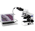高分辨率显微镜CCD成像系统