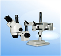 新型完美直立显微镜