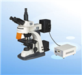 最新颖型荧光显微镜