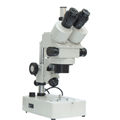 体视显微镜XTL-240