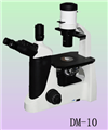 倒置荧光显微镜DM-10