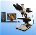 清晰图像展现显微镜