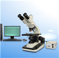 中性图像标本显微镜