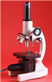 立体声变焦双目显微镜价格
