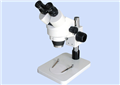 体视显微镜TS-30H