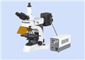 实验室荧光显微镜YG-800