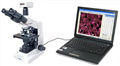 生物显微图像分析仪系统