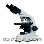 武汉热卖：生物显微镜XS-402型/实验室用双目平场生物显微镜