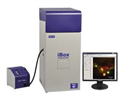 UVP iBox Explorer活体小动物荧光显微成像系统